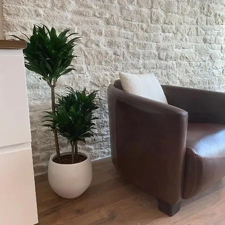 Superbe Logement Independant Tres Lumineux Avec Terrasse De 30 M2, 10 Min De L'aeroport Bale Mulhouse Freiburg, 15 Min De Bale, 20 Min De Mulhouse Et 10 Min A Pieds De La Gare De Apartamento